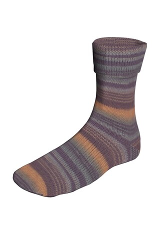 Lang Yarns Super Soxx Color 419