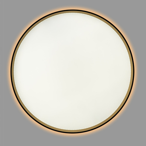 Потолочный светодиодный светильник Citilux Etalon CL750501R