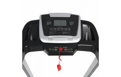 Беговая дорожка Larsen Newtone Е1510M