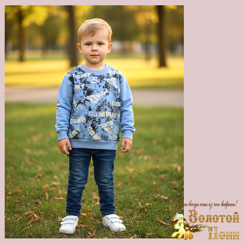 Свитшот трикотаж м (74-98) 251205-Y5104