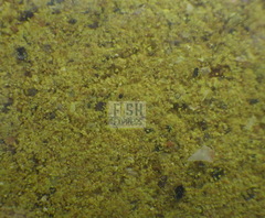 VF Плотва ХОЛОДНАЯ ВОДА NEW ЭТАЛОН 0,9кг/10шт/уп