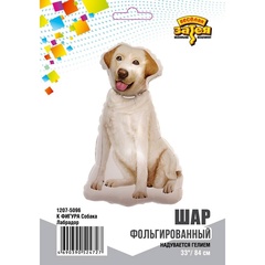 К Фигура, Собака Лабрадор, 33