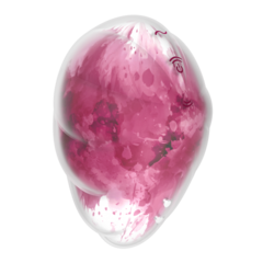 Стимулятор клитора с вибрацией и воздушной стимуляцией Satisfyer Cloud Dancer красно-белый