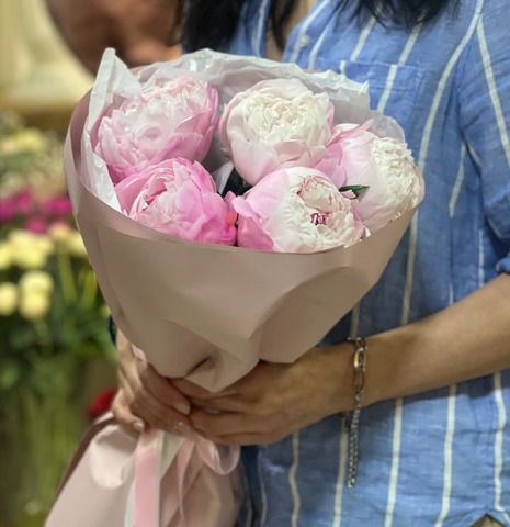 ჰოლანდიური პიონები