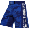 Шорты Hardcore Training Camo 2.1 Blue