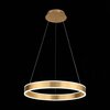 Люстра подвесная ST Luce Onze SL944.203.01
