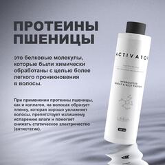 Limba Cosmetics Активатор  Activator Hydrolyzed Wheat&Rice Protein, 250 мл(lmb17)