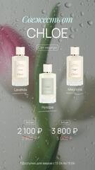 СВЕЖЕСТЬ ОТ CHLOE