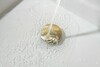 Сливной набор для раковины Push-open с переливом, крышка круглая, шлиф. золото Aquatek AQ6002BG
