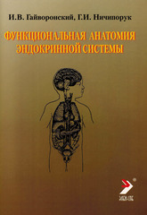 Функциональная анатомия эндокринной системы. Учебное пособие