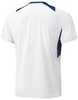 Футболка беговая Mizuno Trad Tee White мужская