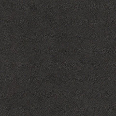 Искусственная кожа auto Bielastisch (Биэластик) 238-2339