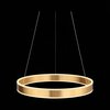 Люстра подвесная ST Luce Onze SL944.203.01