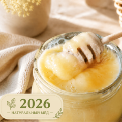 Мед липовый с белым донником / 300 гр