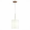 Светильник подвесной ST Luce Vellino SL1163.203.01