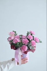 Очарование гвоздик