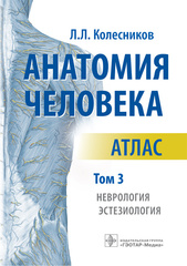 Анатомия человека. Атлас в 3-х томах. Том 3. Неврология, эстезиология