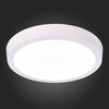 Светильник настенно-потолочный ST Luce ST112.542.18