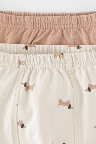 трусы/ уп  для мальчика  К 1912-2уп/песок,бежевый,таксы