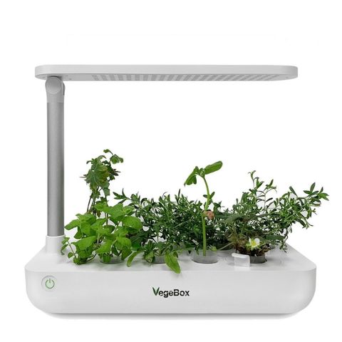 Проращиватель VegeBox T-Box (настольная садовая ферма)