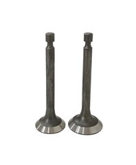 Клапаны (пара) LC154F-1/500550033-0001