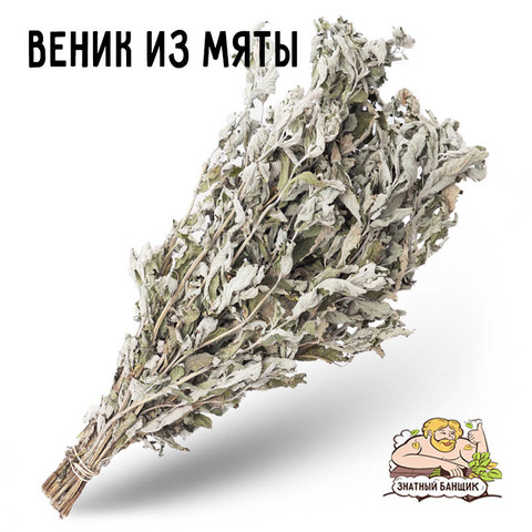 Веник из мяты