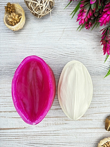 Молд+Вайнер 