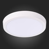 Светильник настенно-потолочный ST Luce ST112.542.18