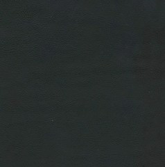 Искусственная кожа Alba rustica 501 (Альба рустика 501)