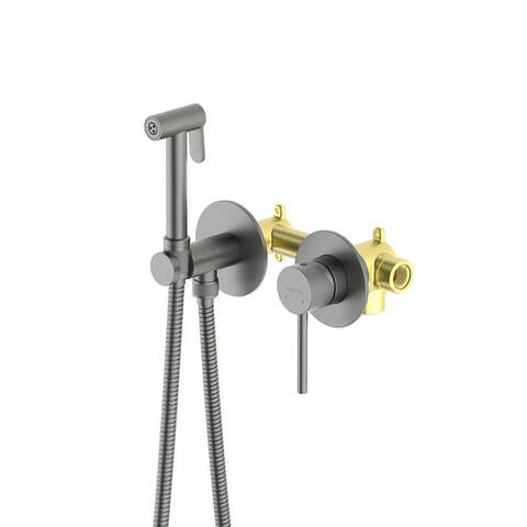 Aquatek AQ1319BGM AQ1319BGM ЕВРОПА комплект для гигиенического душа встроенный 2 отв. (смеситель + гигиеническая лейка + шланг), шлиф. черный хром