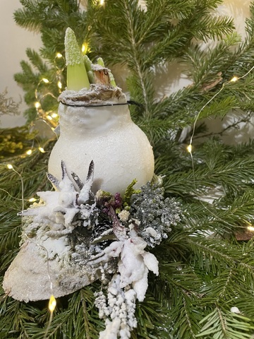 Композиция с Амарилисом 12/15