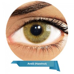 Solotica™ Hidrocor AVELA