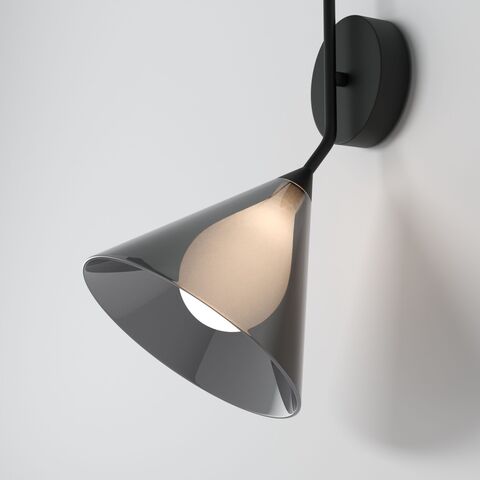 Настенный светильник Eurosvet Enigma 70161/1 черный