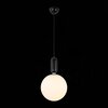 Светильник подвесной ST Luce Rietta SL1220.403.01