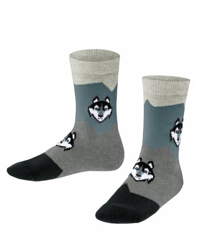 Носки Husky FALKE 10448/7673