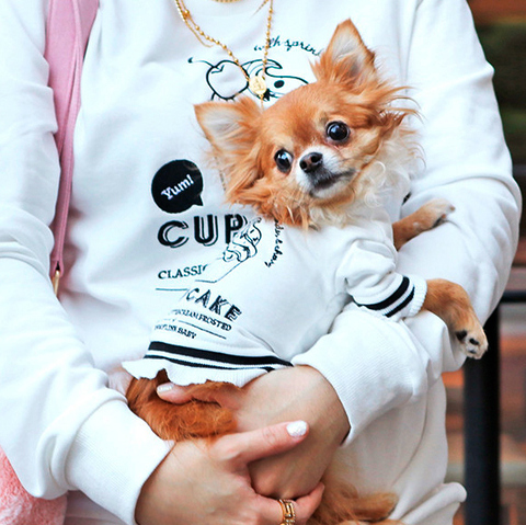 287 Толстовка для собак "Кексик" / "Cupcake"