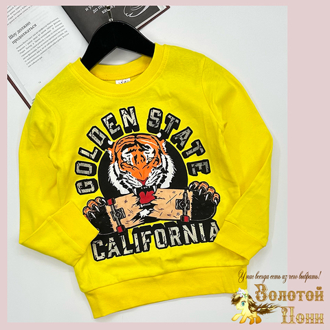 Свитшот хлопок м (6-9) 251128-SSD168