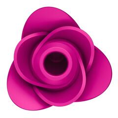 Ярко-розовый вакуум-волновой стимулятор Pro 2 Modern Blossom - 