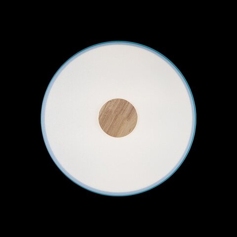 Потолочный светодиодный светильник Loft It Axel 10003/24 Blue