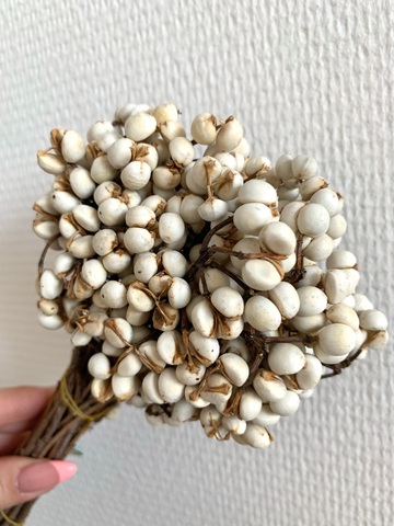 Ягоды шёлка сухоцвет