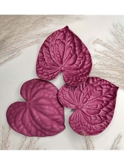 Молд пластиковый лепесток Антуриум (средний) 10,5 х 10,5 см