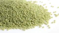 15/0 RR-4473 Duracoat Opq Fennel