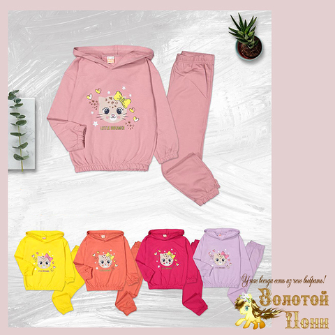 Костюм хлопок девочке (4-6) 251125-SD1060