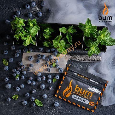 Burn Blueberry Mint