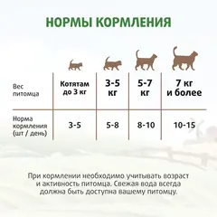 Мнямс Кот Федор 