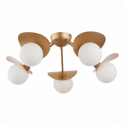 Светильник потолочный Evoluce Bolzano SLE220502-05