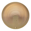 Светильник настенный ST Luce Fossil SL6900.501.16