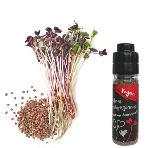 Семена для выращивания микрозелени Здоровья Клад Редис 75 г