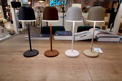 Аккумуляторная настольная лампа Eglo MANNERA 900457