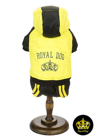 Royal Dog cпорт унисекс стандарт S